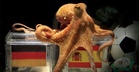 Paul The Octopus, Sotong ‘Peramal’ Yang Pernah Menggegarkan Dunia