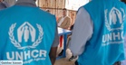 Malaysia Arah UNHCR Henti Pendaftaran Pelarian Buat Masa Ini - Lukanisman