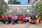 Sunway XFarms, Tune Protect Perkasa Pendidikan Kelestarian Melalui Projek Hidroponik Di Sekolah