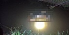 Kanak-Kanak Autistik Hilang Ditemukan Meninggal Dunia Di Kebun Kelapa Sawit