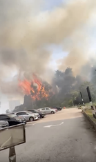 2.8 Hektar Hutan Berhampiran Masjid Sultan Salahuddin Abdul Aziz Shah Terbakar