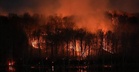 Kebakaran Hutan Hanguskan 2,700 Hektar Di Belgium, 600 Penduduk Dipindahkan