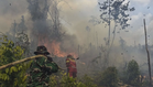 72 Individu Disyaki Terlibat Dalam Kes Kebakaran Hutan & Tanah Di Indonesia