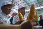 Malaysia Sasar 30 Peratus Pengeluaran Jagung Bijian Tempatan - Mohamad Sabu