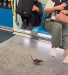 ‘Mickey Mouse’ Dalam MRT, Ini Penjelasan Rapid KL