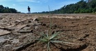 El Nino Dijangka Catat Rekod Terkuat Sejak 1950, 2027 Berpotensi Jadi Tahun Terpanas