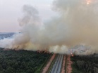 Kebakaran Hutan 17 Hektar Di Kota Tinggi, IPU Catat Tahap Sederhana