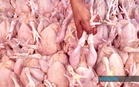 Gudang Proses Ayam Diserbu Dipercayai Beroperasi Sejak 20 Tahun Lepas
