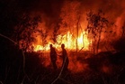 Kebakaran Di Indonesia Musnahkan Hampir Dua Juta Hektar Hutan