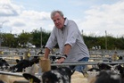 Jeremy Clarkson ‘p***** off’ after 11 sheep stolen from his Diddly Squat farm
