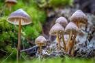 This psychedelic could help ease treatment-resistant depression