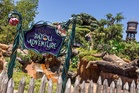 Disney halts Tiana’s Bayou Adventure ride after second child escapes from their seat: report