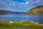 Coolcations: Why Brits are ditching the sweltering Mediterranean this summer