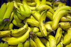 Bananas that don’t go brown could hit UK supermarkets after scientific breakthrough