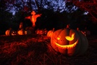 Trick-or-treaters warned: 'Halloween is not for everyone'