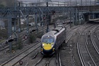 ‘Bedbug Express’: Trains cancelled after pests spotted on Southeastern railway