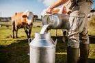 Got milk? Climate change may be hurting both the quality and quantity of America’s supply