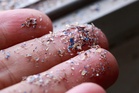 The breakthrough tests that could map where microplastics have clustered in your body