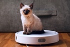 US bans robot vacuums and ‘quadrupeds’ amid panic over Chinese humanoid robots