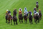 Epsom Derby odds: Find the latest odds for the Derby & Oaks