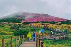 Tourist hotspot in South Korea closed at night after man falls to his death