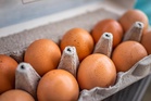 Major UK supermarket to stop selling brown eggs in net zero push