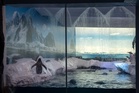 Sea Life confirms controversial London penguin exhibit closure date after backlash