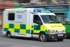Four-year-old girl dies after being hit by car