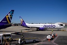 Flight attendant says she was fired after sounding alarm on ICE flights