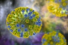 Scientists use AI to create entirely new viruses – and give urgent warning