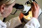 New blood test could show if prostate cancer treatment is failing