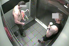Man accused of stealing flamingo from Vegas casino testifies he drank a lot that day — like, a lot