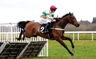 Friday horse racing tips: Best bets for Newbury