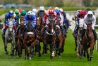 Grand National horse tragically dies moments after pulling up during race