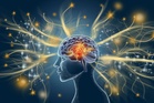 AI startup to give humans ‘perfect’ memory launched by Harvard professor