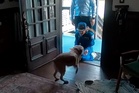 Adorable moment Artemis II astronaut is welcomed home by her dog