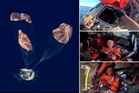 Moment Navy crews celebrate with Artemis II astronauts after they make it back safely from the moon