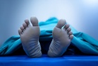 Would you have a boob job with ‘zombie filler’ – from a corpse?