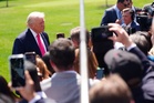 How conspiracy theories about 12 missing or dead scientists captured Trump’s attention