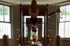David Beckham gets distracted as Victoria shows impressive pull-up strength