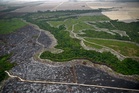 Gold rush fuels Amazon deforestation and mercury poisoning in Brazil’s protected areas