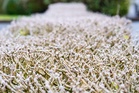 Coldest May night in five years recorded with more unsettled weather on way