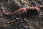 Tyrannosaur fossil reveals dark secret about apex predator: ‘Like solving ancient murder mystery’