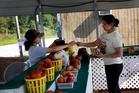 Del Monte shutdown forces massive peach tree removal