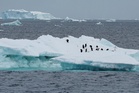Researchers issue climate change warning as sea ice in Antarctica melts to record lows