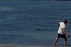 Lawyer of man who threw rock at rare seal in US says client has faced huge backlash