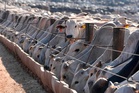 Brazil says the EU has moved to block its animal product exports starting from September