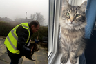 Amazon delivery driver caught on doorbell camera stealing family cat is spared prison