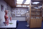 Tasmania apologises for keeping autopsy body parts without consent of families