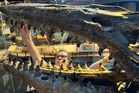 Scientists discover new marine T-rex that was twice the size of great whites and ‘meaner than any mosasaur’